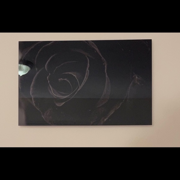 Black rose tempered glass printing wall art. - Picture 1 of 3